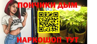 шишки Бузулук