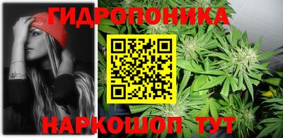 шишки Бузулук